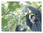 兵庫県立但馬農業高等学校