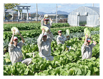 兵庫県立有馬高等学校