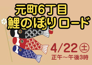 元町6丁目鯉のぼりロード開催！