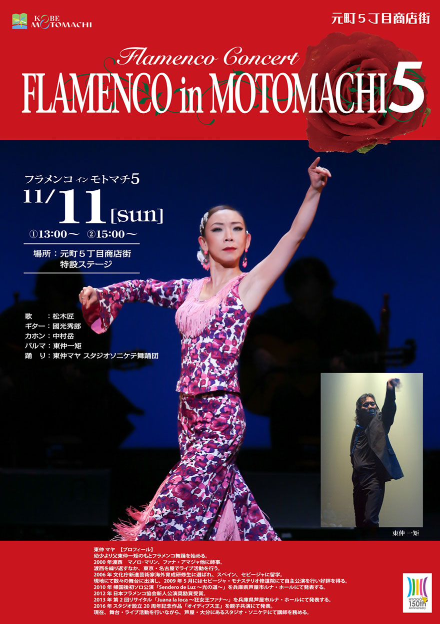 flamenco5.jpg