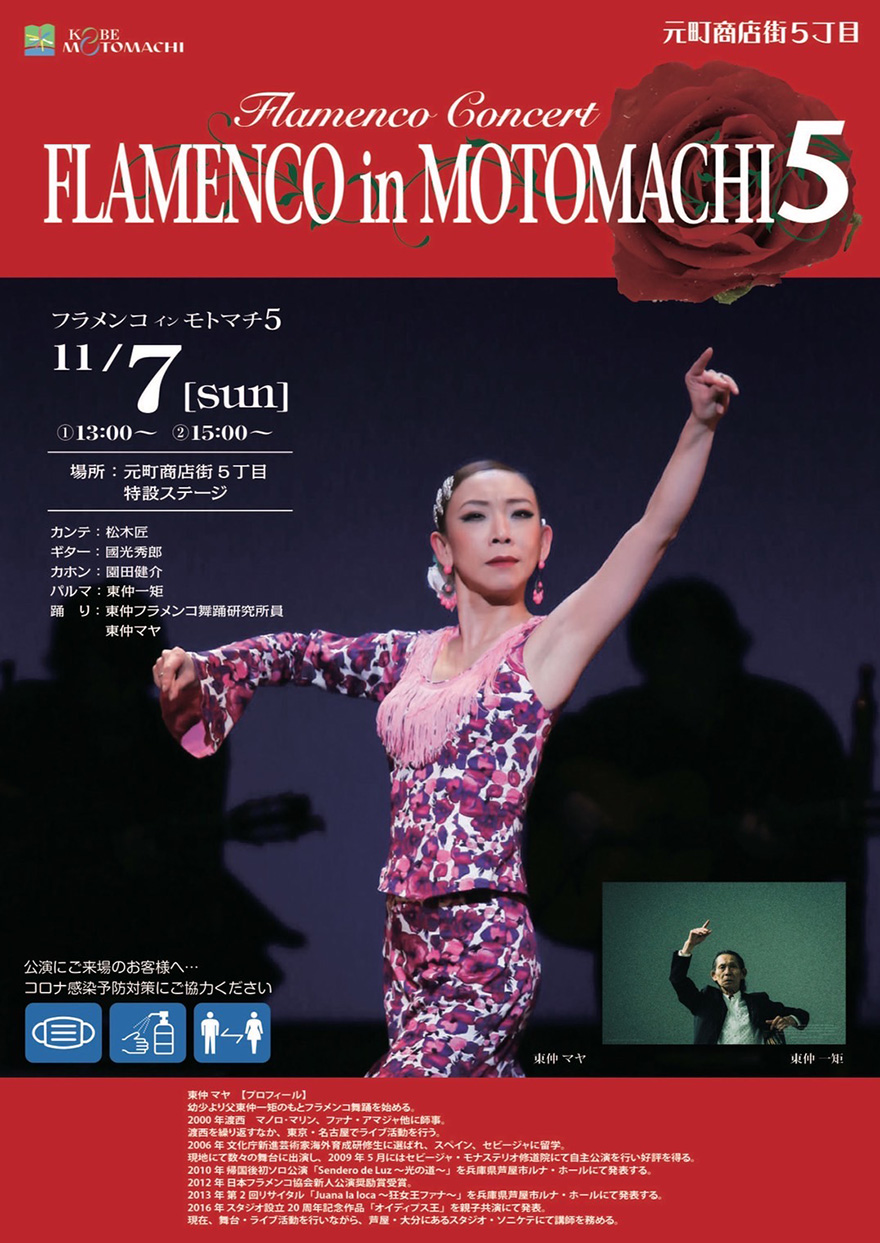 image5-flamenco.jpg