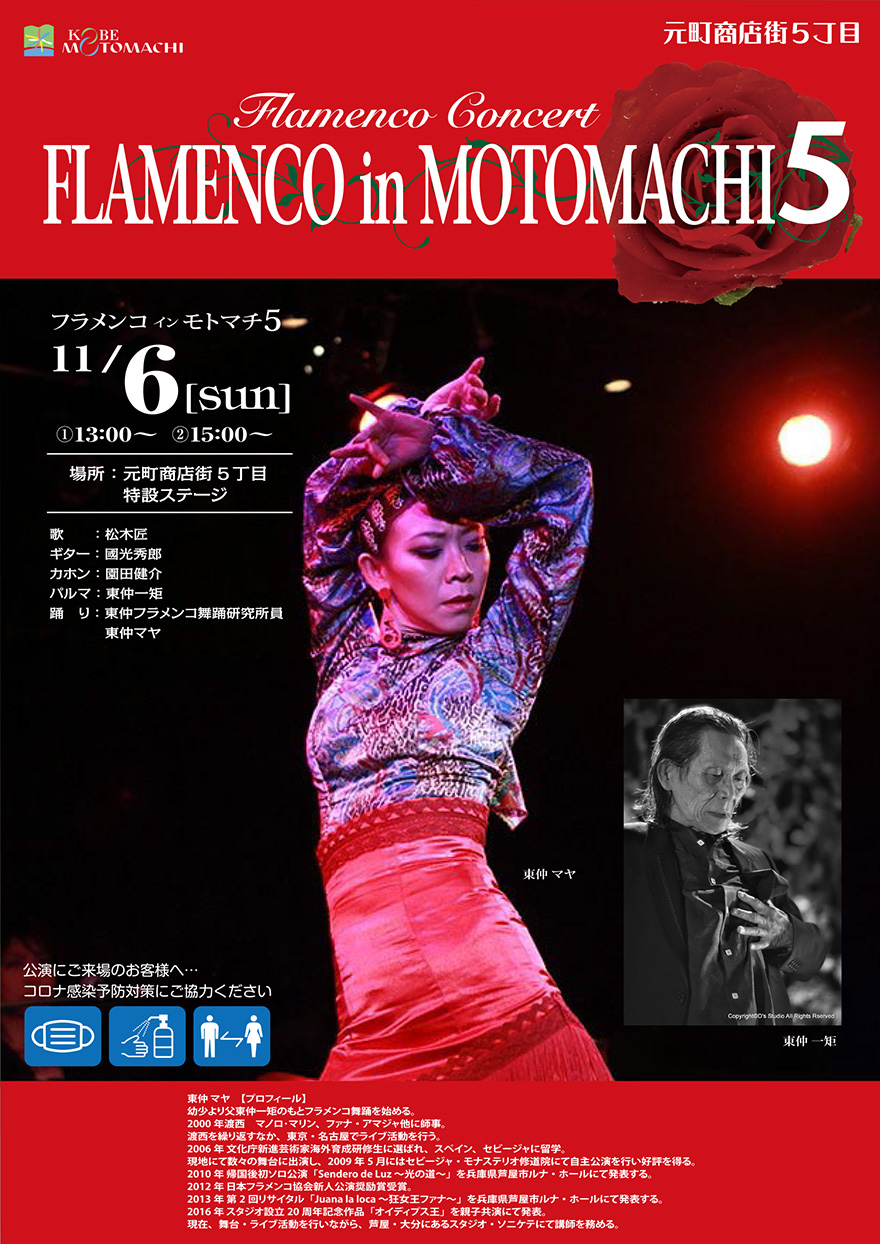 image5-flamenco.jpg